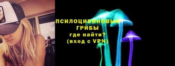 Альфа ПВП Богородск