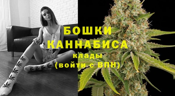 бошки Богданович