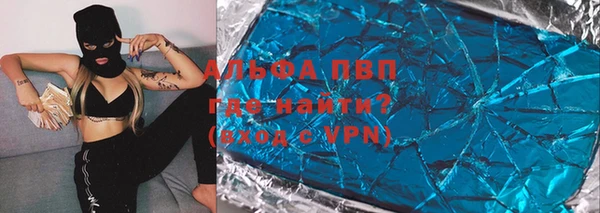 трава Пересвет