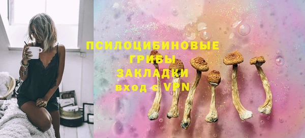 бошки Богданович