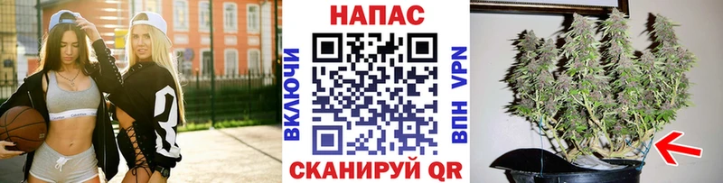 Бошки Шишки индика купить закладку Бирюсинск